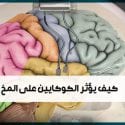 كيف يؤثر الكوكايين على المخ